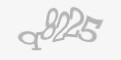 Защитный код