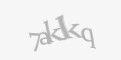 Защитный код