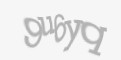 Защитный код