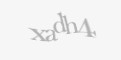 Защитный код