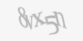 Защитный код