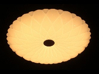 000829702_2