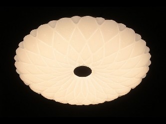 000829702_3