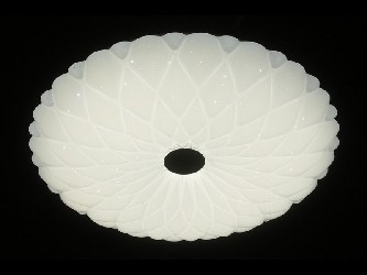 000829702_9