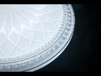 000829705_4
