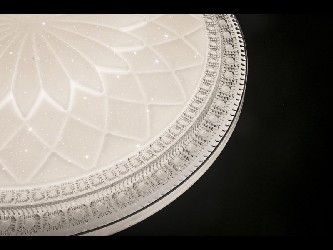 000829721_2
